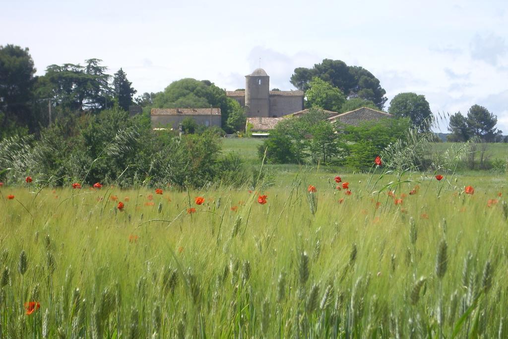 Bed and Breakfast Mas Du Cres Galargues Exterior foto