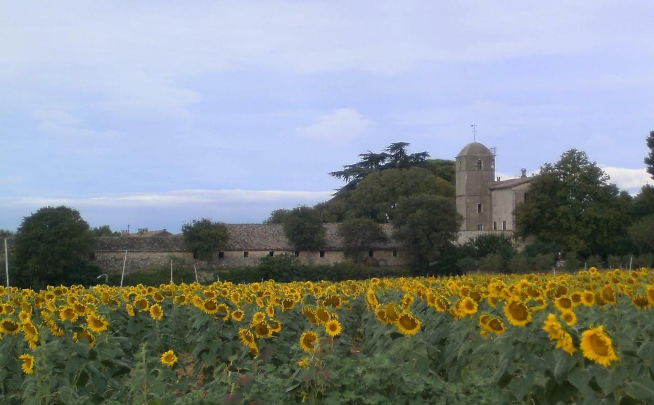 Bed and Breakfast Mas Du Cres Galargues Exterior foto